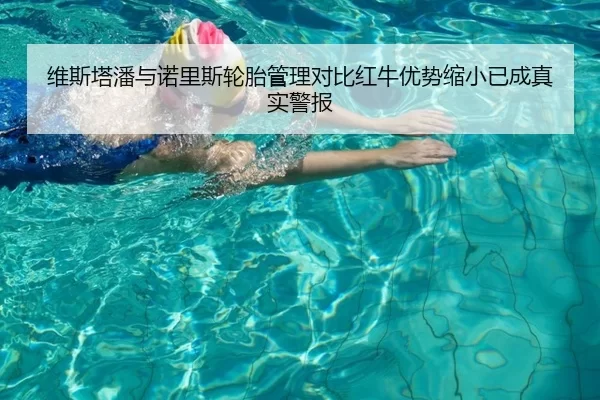 维斯塔潘与诺里斯轮胎管理对比红牛优势缩小已成真实警报
