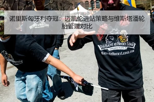 诺里斯匈牙利夺冠：迈凯伦进站策略与维斯塔潘轮胎管理对比
